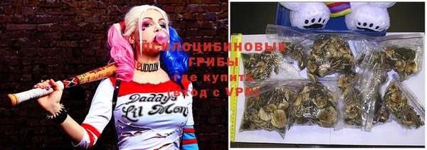 МДПВ Алзамай