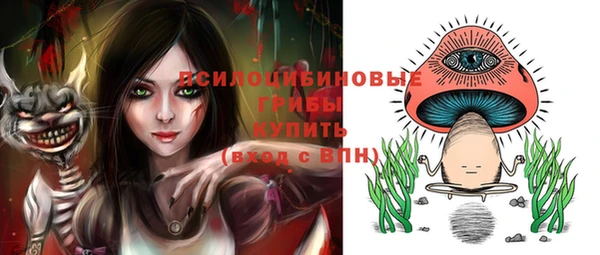 МДПВ Алзамай