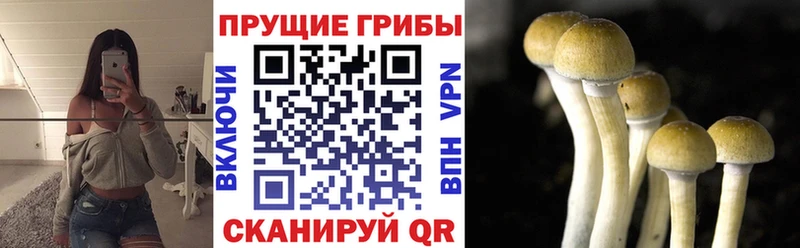 Галлюциногенные грибы мухоморы Менделеевск