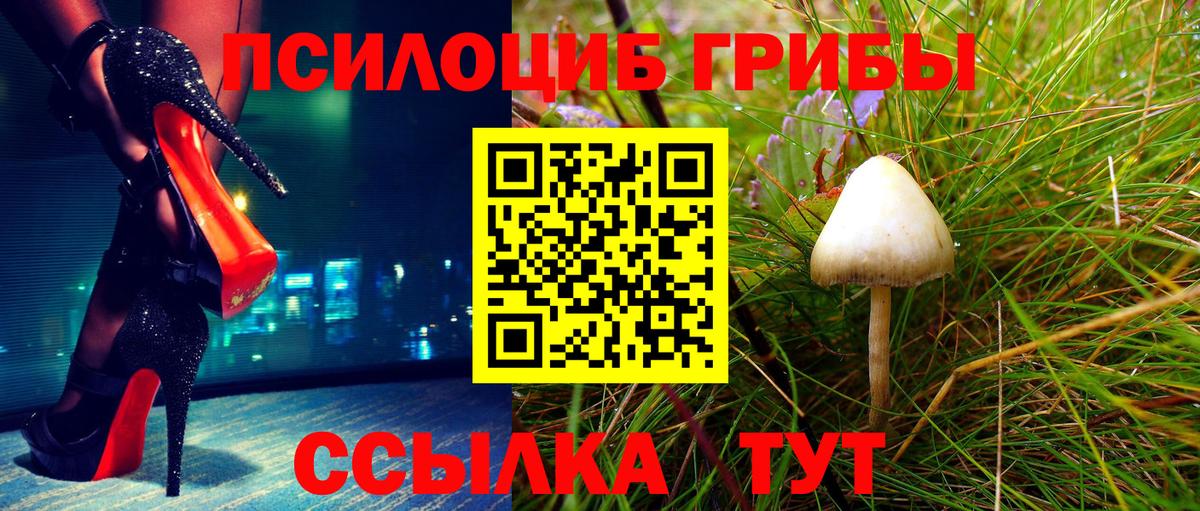 Псилоцибиновые грибы мухоморы Менделеевск